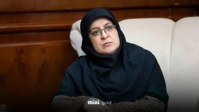 تعیین تکلیف نیروهای شرکتی نظر سخنگوی دولت در خصوص نحوه ساماندهی نیروهای شرکتی