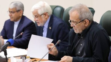 مصوبه هیئت وزیران در خصوص ساماندهی